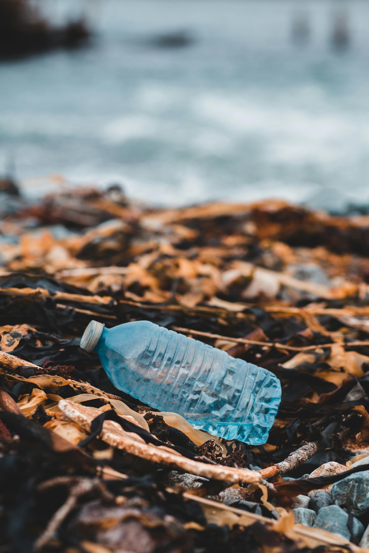 Mikroplastik in unserem Körper: Entgiftungsstrategien und die Verbindung zum Schlaf